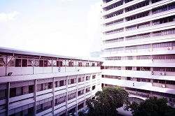 泰科锦好教育 口碑铸就优秀泰国留学申请之路